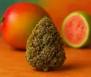 Captura de pantalla 2026-04-11 173241.webp