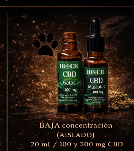 Aceite CBD 100 mg (baja concentración)
