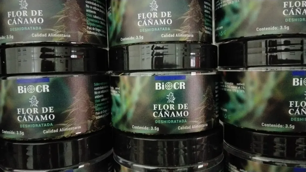 Flor de Cáñamo – ACDC 3.5g PRECIO REGULAR ₡19.000