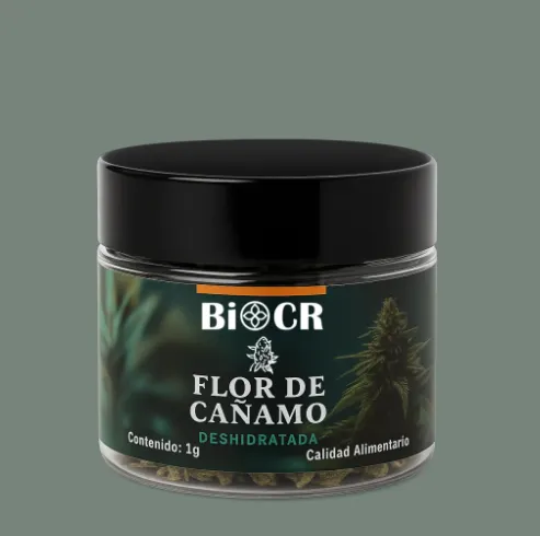 Flor de Cáñamo – Mountain Mango 1g