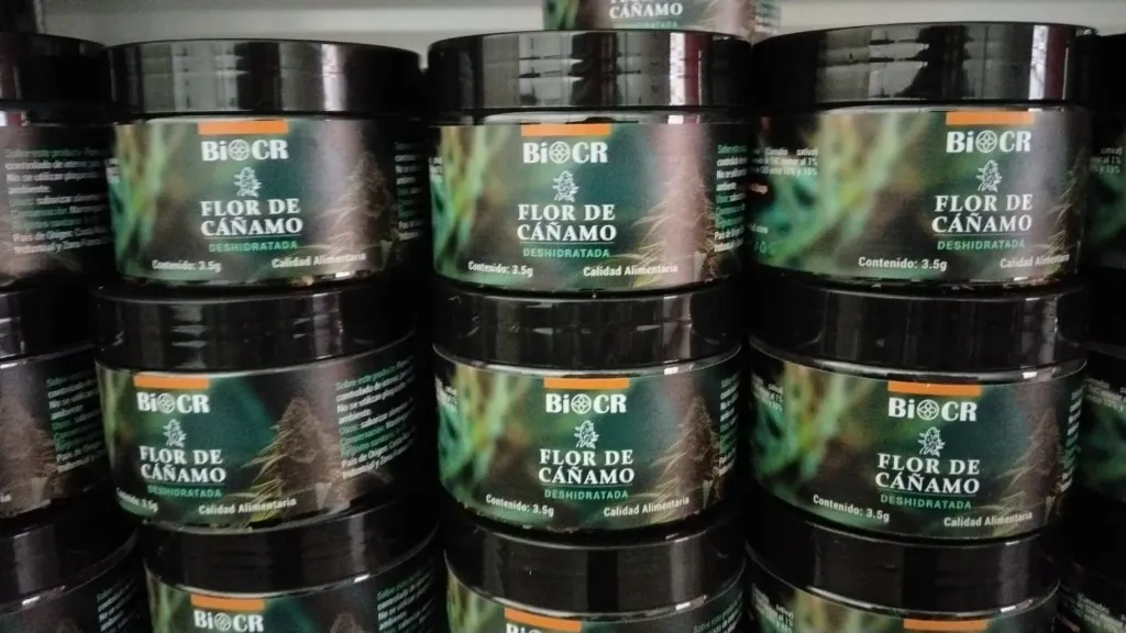 Flor de Cáñamo – Mountain Mango 3.5g PRECIO REGULAR ₡19.000