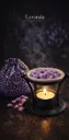 Saquito Aromático Lavanda (≈50 perlitas)